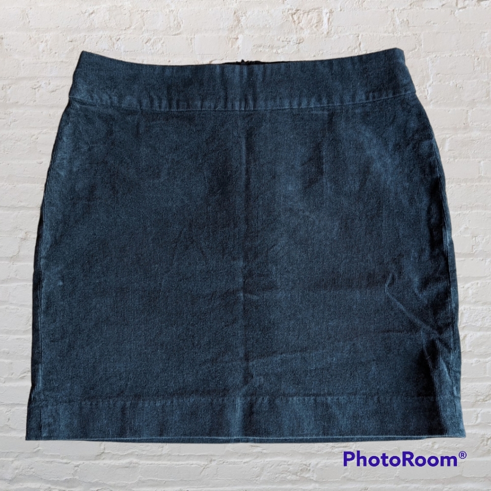 Banana Republic Factory Fitted Skirt. Women's 4.